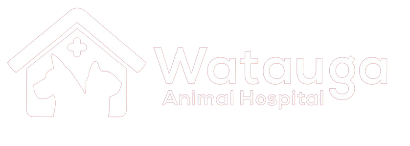 Watauga Animal Hospital Logo White